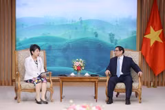 Vietnam, Japan enjoy sound relations in all fields: Spokesperson