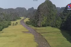 Ninh Binh capitalises on IT to bolster tourism