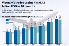 Vietnam's trade surplus hits 6.43 bln in 10 months