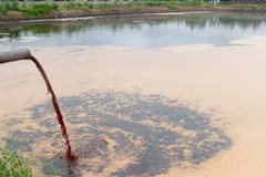 JICA-funded project helps improve water environment management 