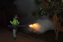 HCM City using thermal foggers to kill mosquitoes