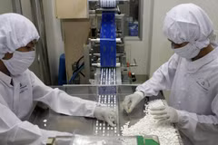 India pledges medicine investment in Indonesia