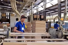 Timber, wooden furniture exports rake in 7.3 billion USD