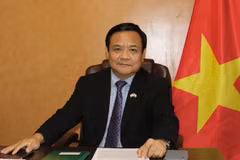 Vietnamese Ambassador to Brazil Bui Van Nghi (Source: Vietnamese Embassy in Brazil)