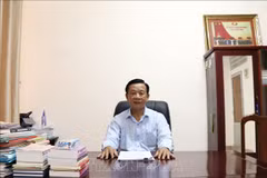 Ho Trung Viet, head of the Ca Mau provincial Party Committee’s Information and Education Board. (Photo: VNA)