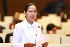 Legislators appreciate efforts by President, Government
