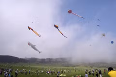 Flute kites: a centuries-old game for all ages 