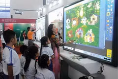 Mekong Delta eyes IT industry