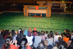 Vietnam-Egypt Cultural Exchange Week begins