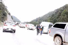 Freezing weather causes damage to northern localities 