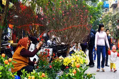 Lunar New Year – biggest traditional holiday in Vietnam 