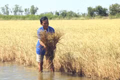 Localities continue to take measures against drought 