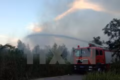 Wildfire at Hoang Lien National Park successfully controlled 