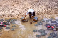 Vinh Long: Water supply upgrade to help drought-hit households