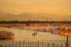 Thua Thien – Hue conserves submerged lands 