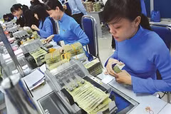 Domestic lending drops off in January