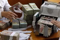 Interest rate set to remain stable: SBV