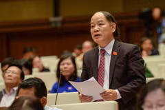 2013 Constitution – outstanding imprint of 13th National Assembly 