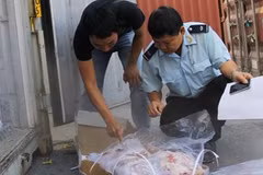 Hanoi Customs Department sets up hotlines