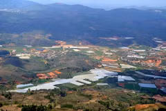 Da Lat plans to build 490ha safari park