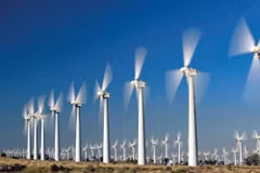 Nat’l action programme aims to boost green production, consumption