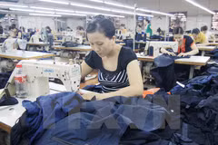 EU-Vietnam FTA to take effect in 2018 