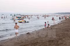 Sea water in Nghe An meets national standards 
