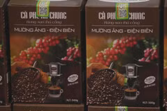 Dien Bien promoting Muong Ang coffee brand