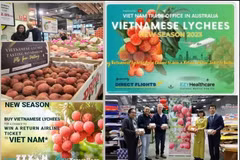 Vietnamese lychee sold well at Costco stores in Australia (Photo: VNA)