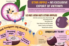 Vietnam - Sole country exporting star apples