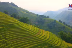 Foreign magazine marvel at enchanting palette of Sa Pa’s autumn