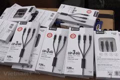 Hard nut to crack in origin fraud fight in Vietnamese products