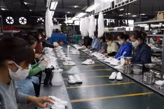 Domestic enterprises record upbeat exports despite pandemic 
