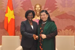 Vietnam, Mozambique forge legislative ties