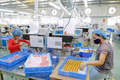 HCM City publishes investment handbook to assist businesses