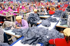 Government procurement commitments in TPP discussed