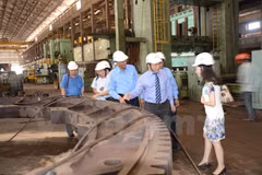 Workshop promotes Indian investment in Vietnam