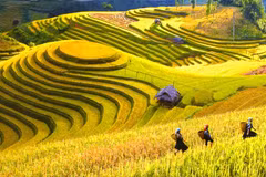 Sapa Tourism Week to host cultural events
