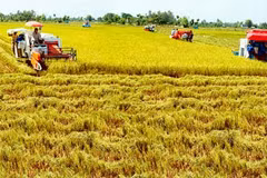 New delta co-operative project approved 
