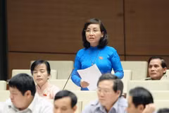 Prime Minister fields questions, property auction law passed