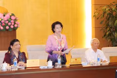 NA Standing Committee discusses revision of Criminal Code 
