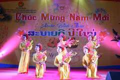 Tet celebrations in Eygpt, US, Laos, UAE