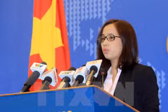 Foreign Ministry deputy spokeswoman clarifies citizen protection