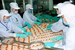 Agricultural restructuring a tough task: official