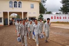 Binh Phuoc: 367 prisoners granted clemency