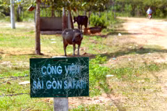 HCM City helps 500 million USD safari park