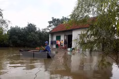 Committee urged to stand ready for search, rescue missions 