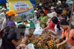 Southern fruit festival opens in HCM City