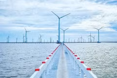 Mekong Delta works to advance renewable energy development