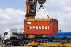 Vietnam's economic growth rate projected to reach 6% in 2024: UOB